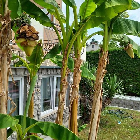 Apartman Marija Kastav Εξωτερικό φωτογραφία